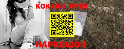 шишки Будённовск