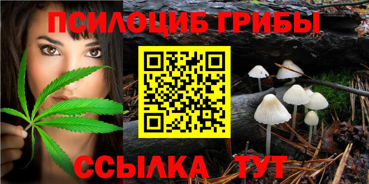 Псилоцибиновые грибы GOLDEN TEACHER  купить наркоту  Полевской  Вход с VPN 