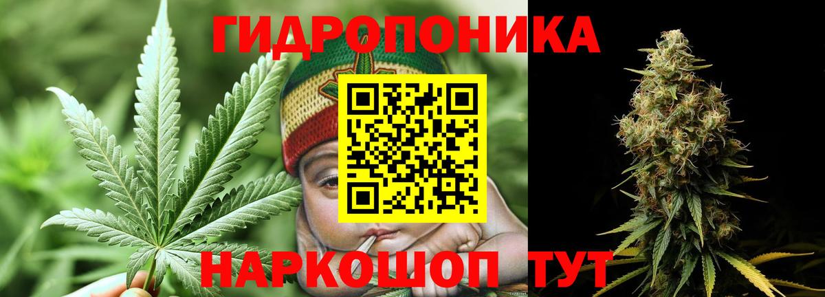 Полевской  Канабис LSD WEED  МАРИХУАНА семена  Вход с VPN  Шишки марихуана конопля  Конопля семена 